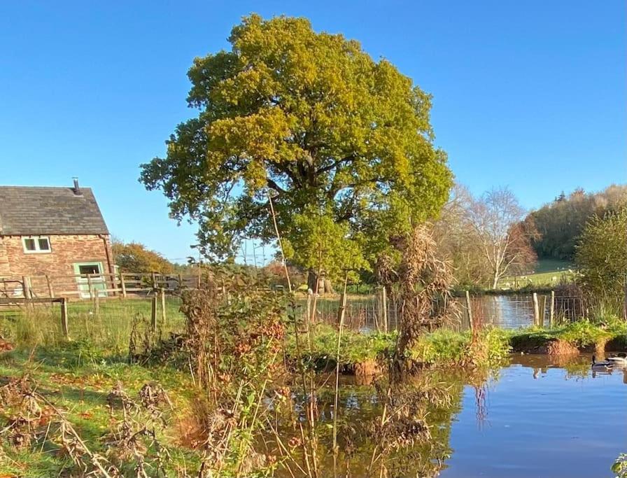 Oaklands Cottage On A Rural Farm Dingestow Exterior photo
